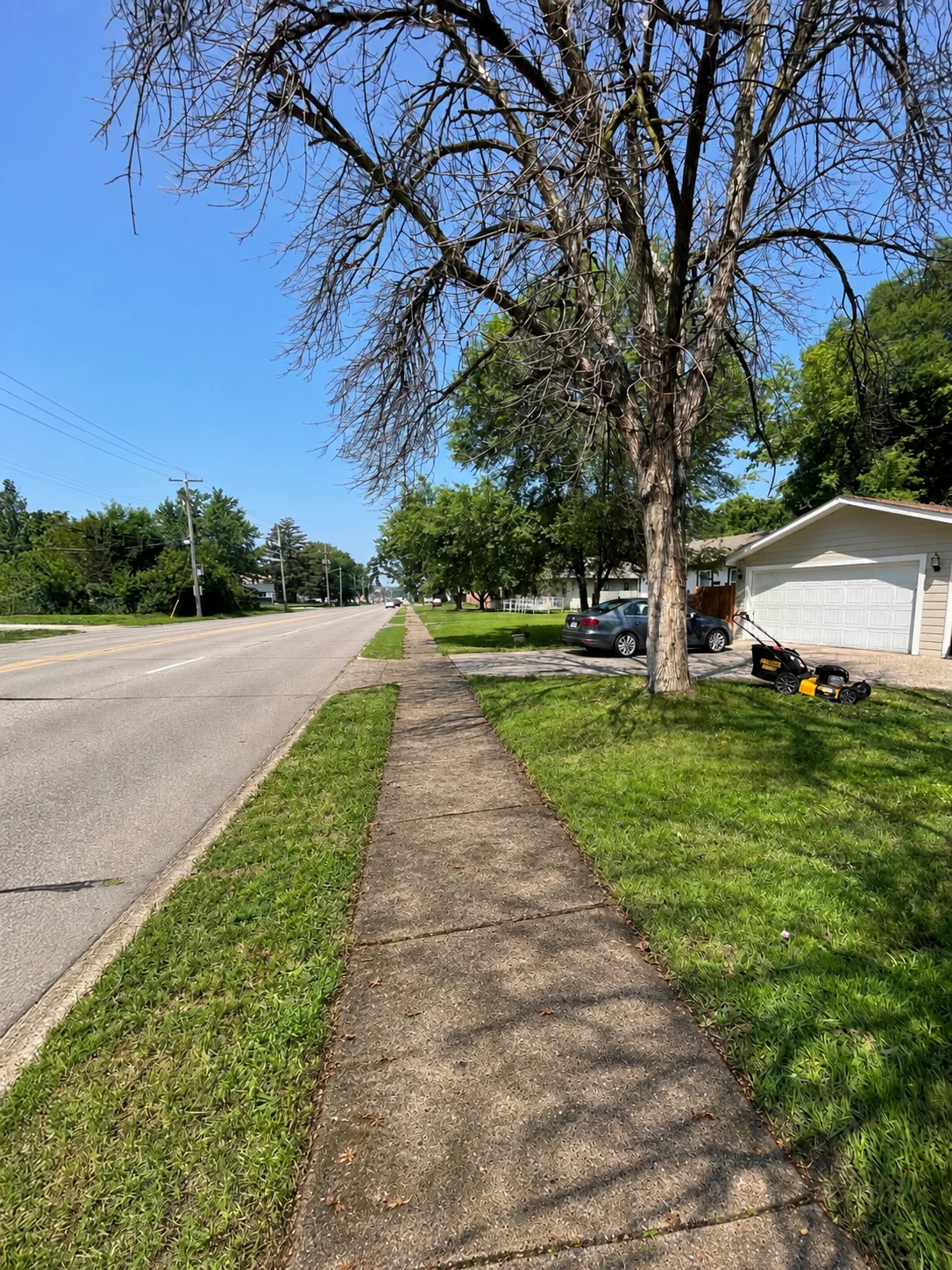 Sidewalk before pressure washing